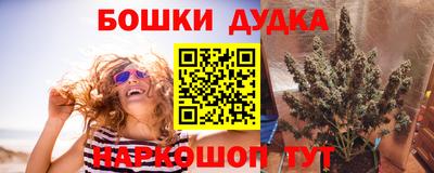 прущие крисы Обь