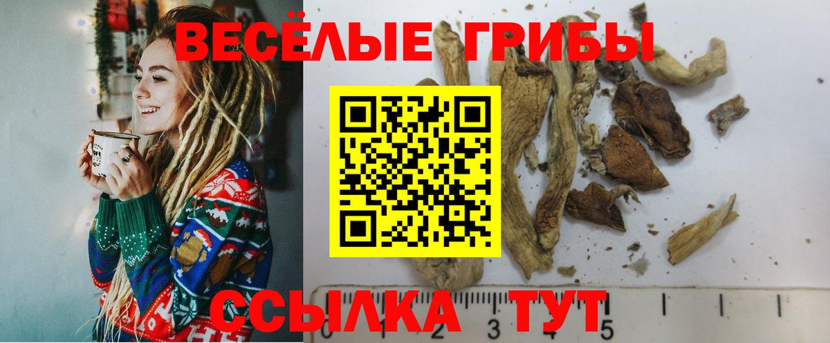 Галлюциногенные грибы GOLDEN TEACHER Сорочинск