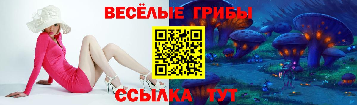 Сорочинск  Галлюциногенные грибы MAGIC MUSHROOMS  купить наркоту  Галлюциногенные грибы Magic Shrooms  Вход с VPN 